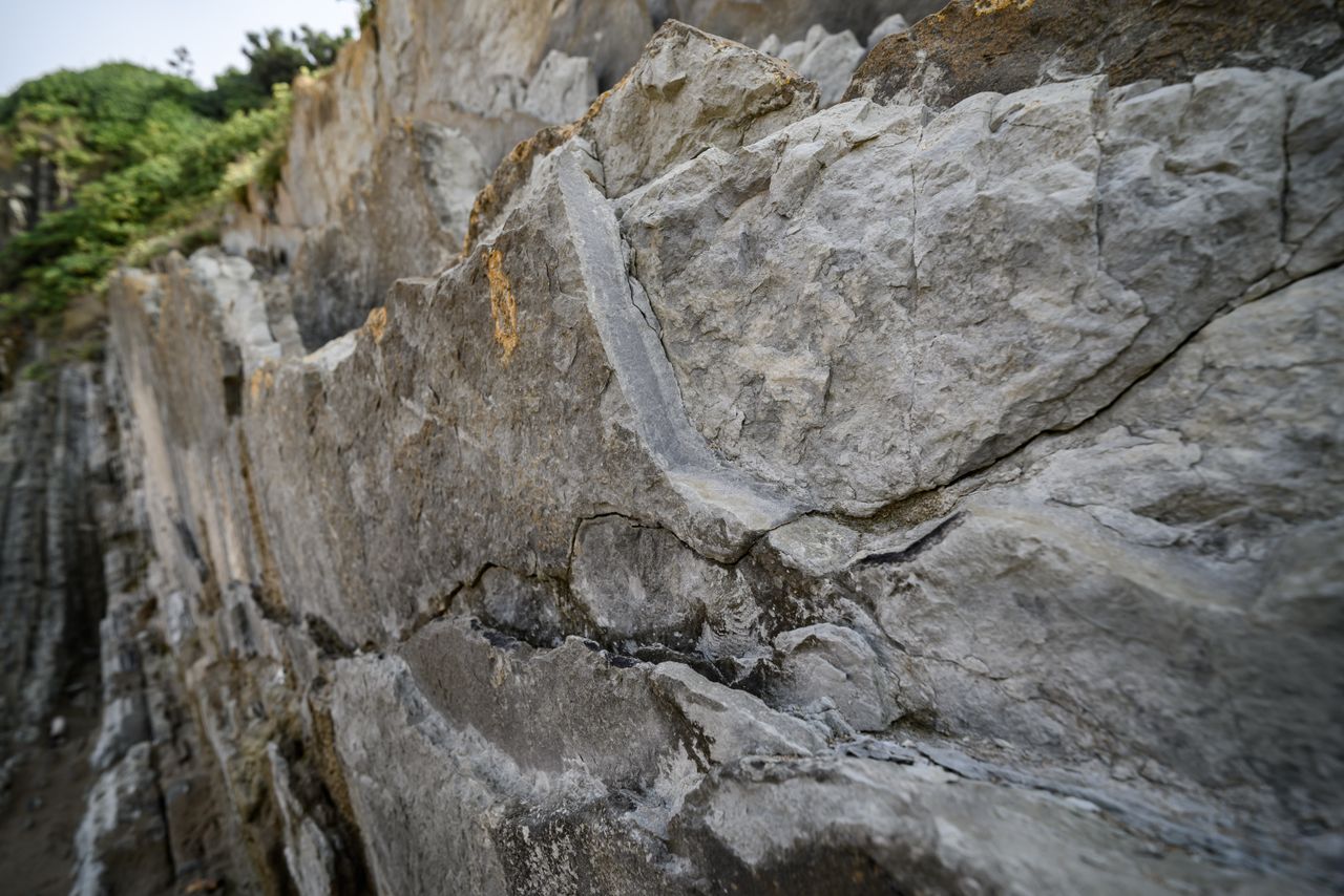 heros-img Close-up of a rugged cliff face with geological strata visible in País Vasco, Spain.